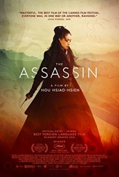 Suikastçi – The Assassin 2015 Türkçe Altyazılı izle