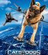 Kediler ve Köpekler 2 Kitty Galore’un İntikamı Türkçe Dublaj izle