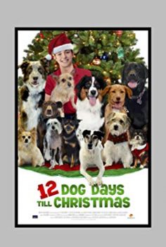 Noel’in 12 Köpeği – 12 Dog Days of Christmas izle