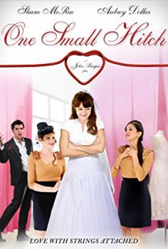 Gönlümü Çaldın – One Small Hitch 2013 Türkçe Dublaj izle