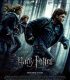 Harry Potter Ve Ölüm Yadigarları Bölüm 1 Türkçe Dublaj izle