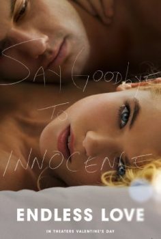 Sonsuz Aşk – Endless Love 2014 Türkçe Altyazılı izle