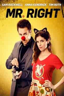 Bay Doğru – Mr. Right 2015 Türkçe Altyazılı izle