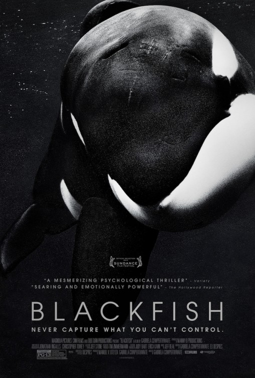 Blackfish 2013 Türkçe Altyazılı izle