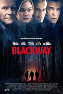 Blackway – Go With Me 2015 Türkçe Dublaj izle