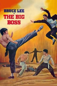 Büyük Patron Big Boss film izle