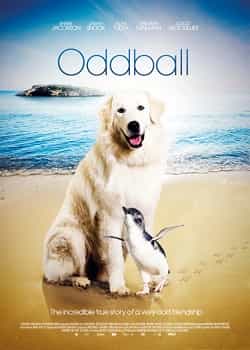 Cesur Köpek – Oddball 2015 Türkçe Dublaj izle