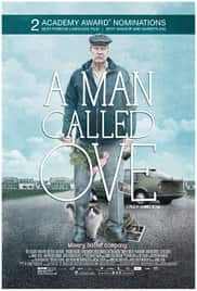 Hayata Röveşata Çeken Adam Türkçe Dublaj izle