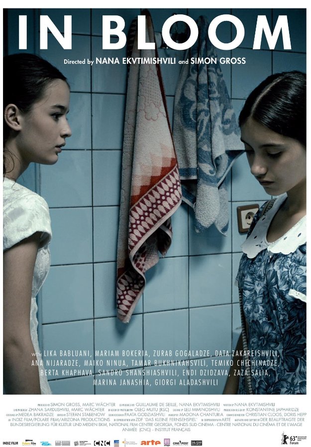 Hayatın Baharı – Çiçek – Grzeli Nateli Dgeebi – In Bloom 2013 Türkçe Altyazılı izle